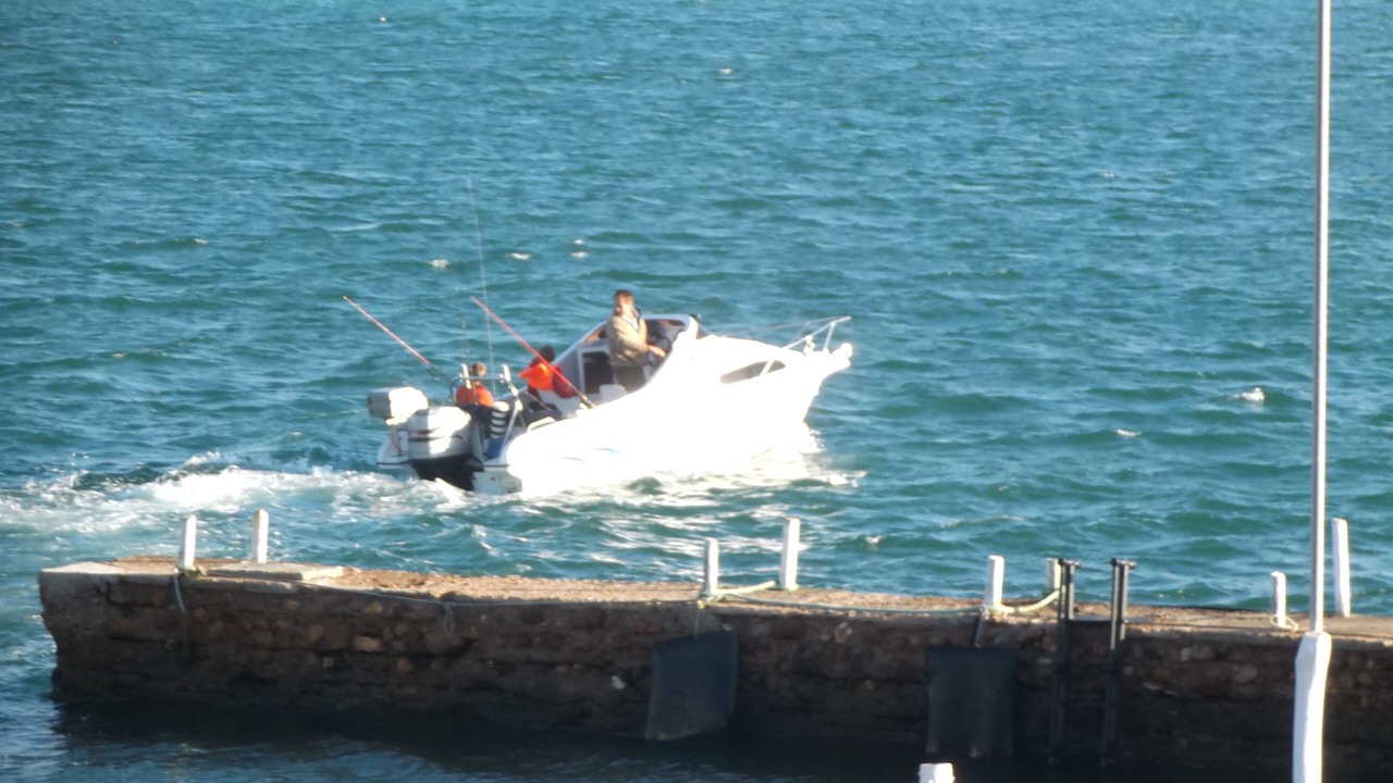 Photo of Others in Port Beaufort