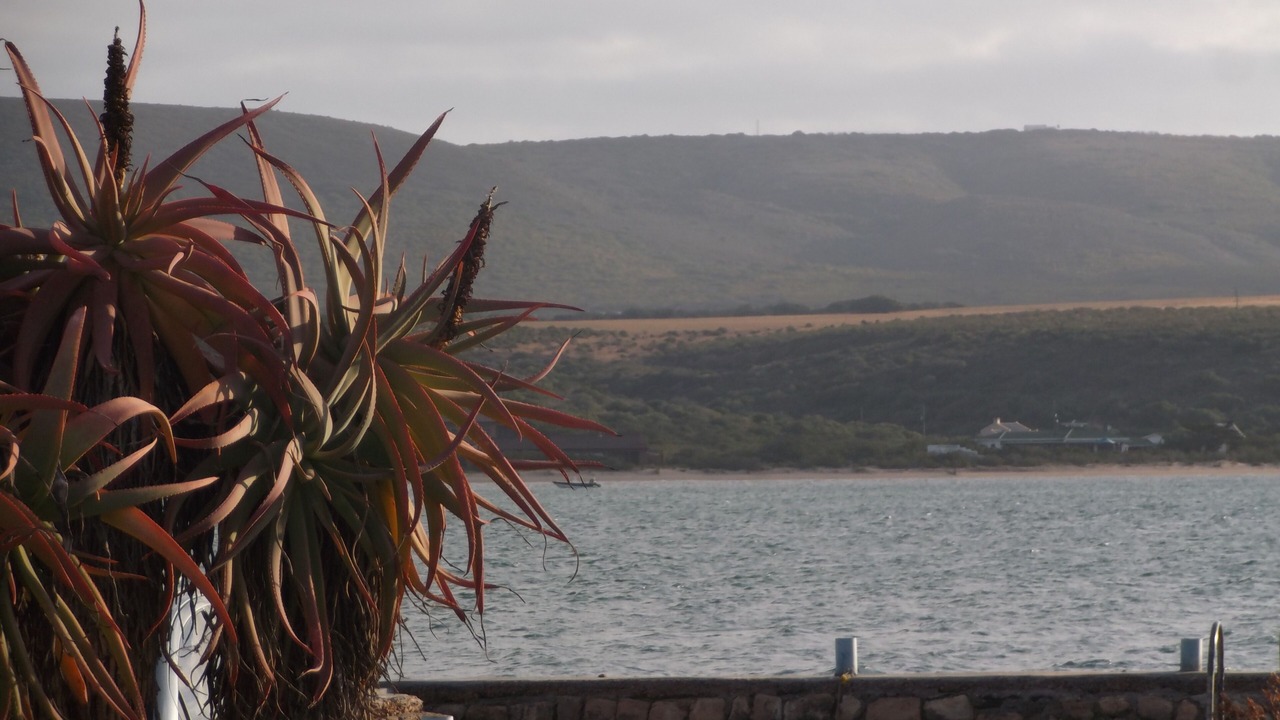 Photo of Others in Port Beaufort