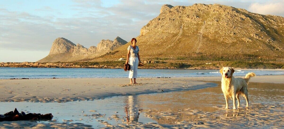 Photo of Others in Tokai