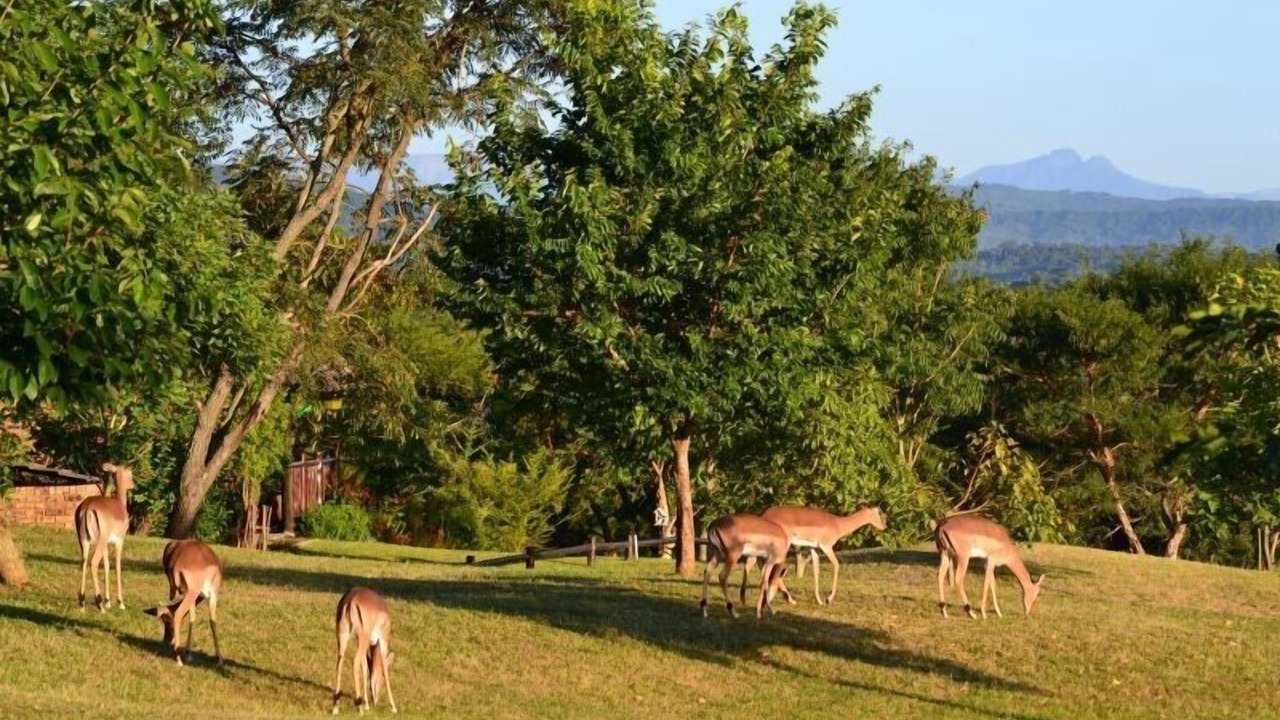 Photo of Others in Hazyview