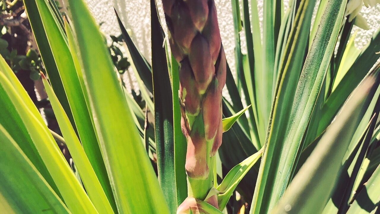 Photo of Outdoor in Bloubergstrand