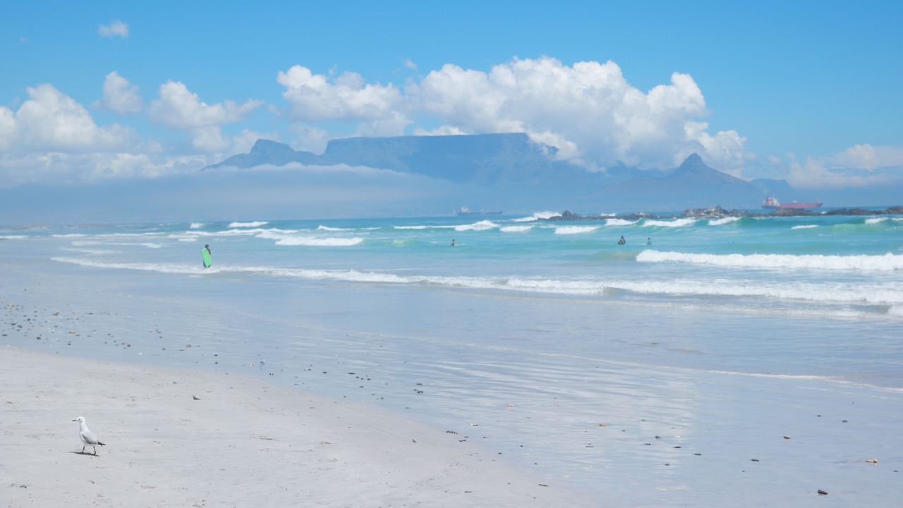 Photo of Others in Bloubergstrand
