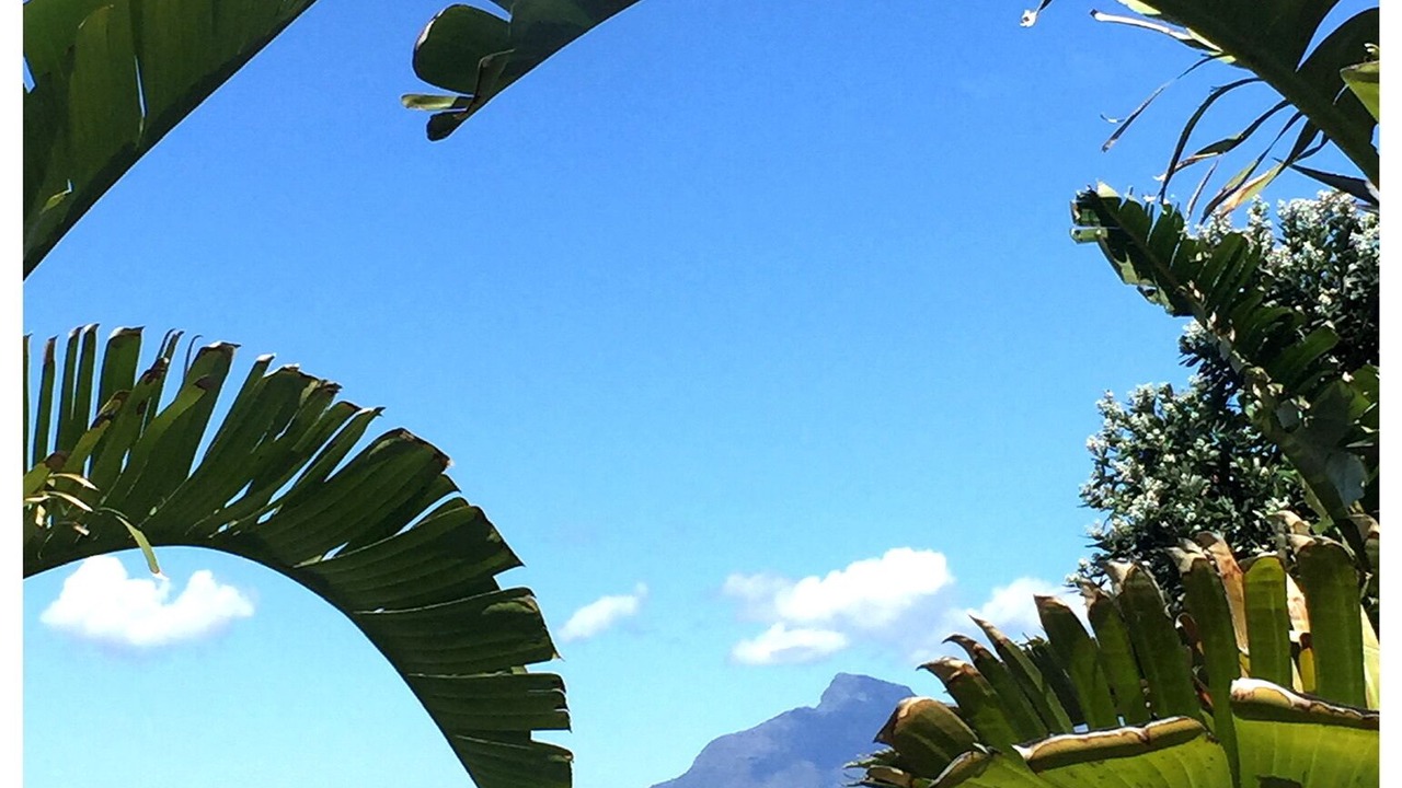 Photo of Outdoor in Bloubergstrand