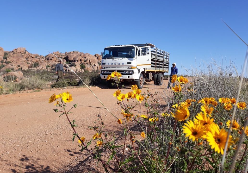 Photo of Others in Leliefontein