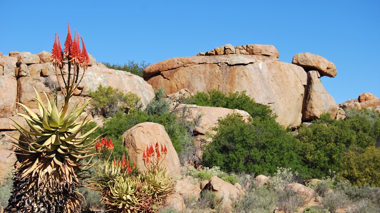 Photo of Others in Leliefontein
