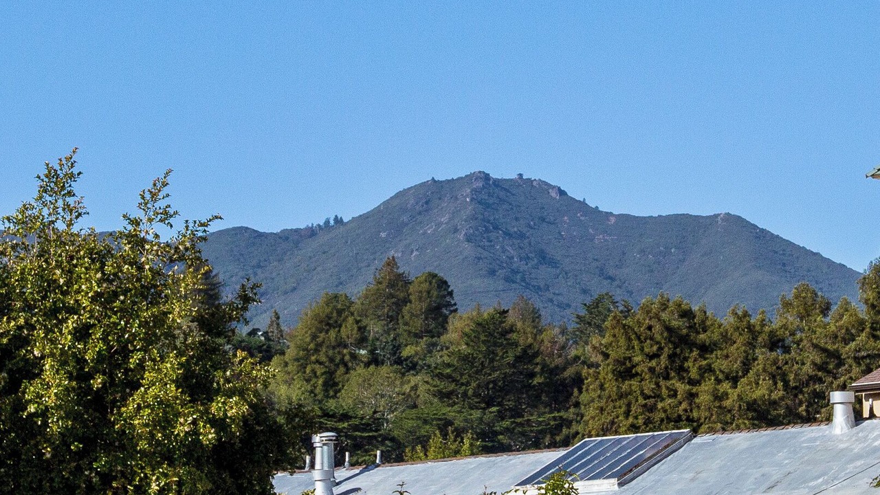 Photo of Others in Mill Valley