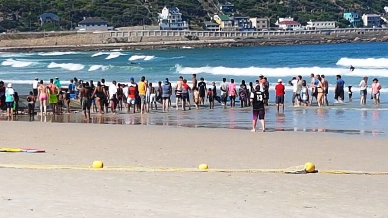 Photo of Others in Fish Hoek