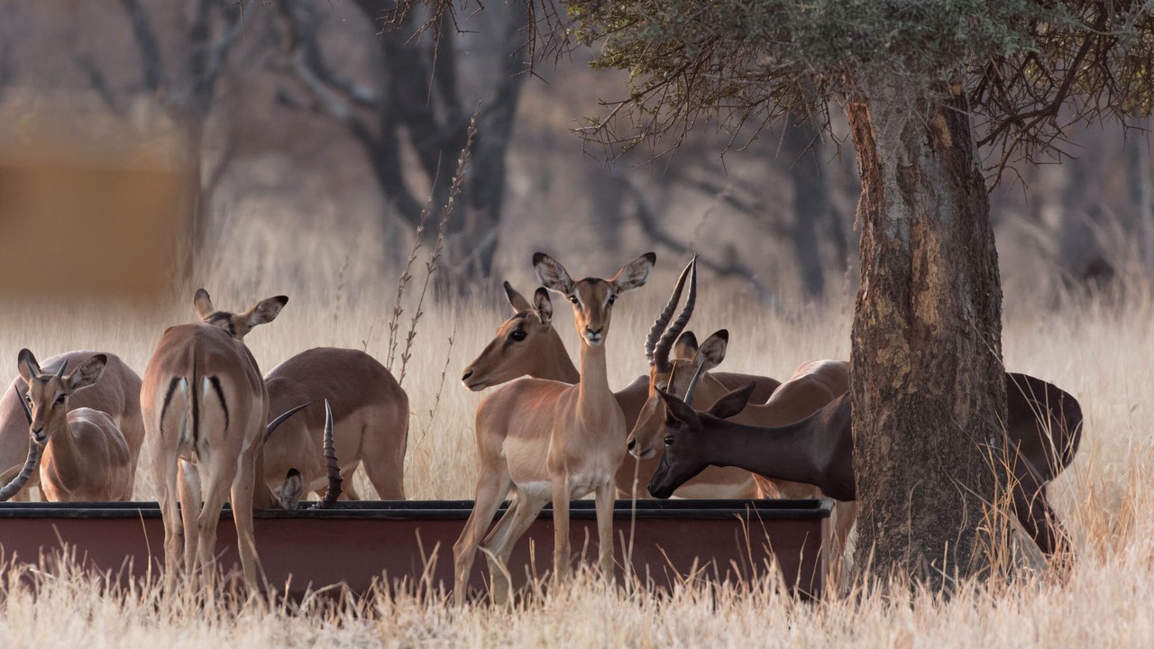 Photo of Outdoor in Phalaborwa