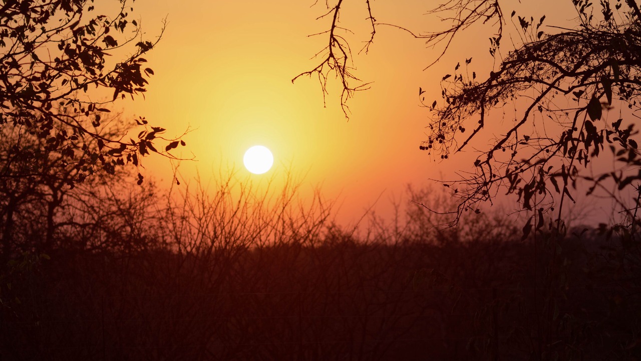 Photo of Outdoor in Phalaborwa