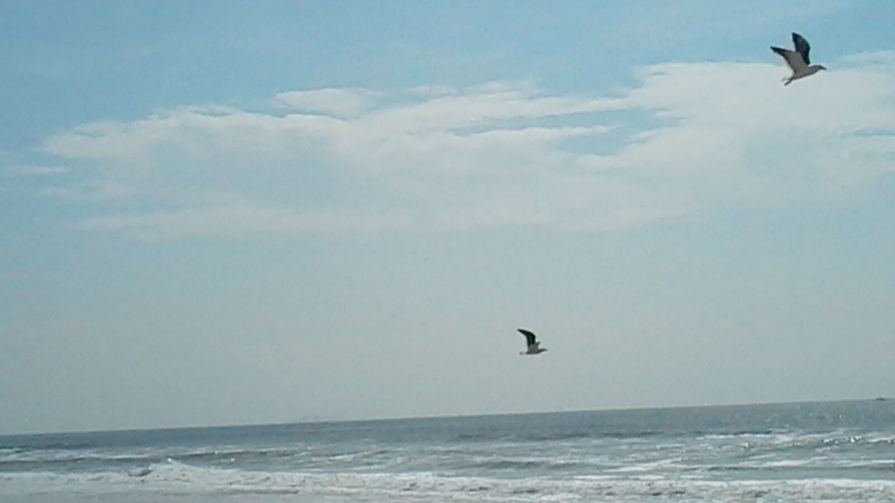 Photo of Others in Bluewater Bay