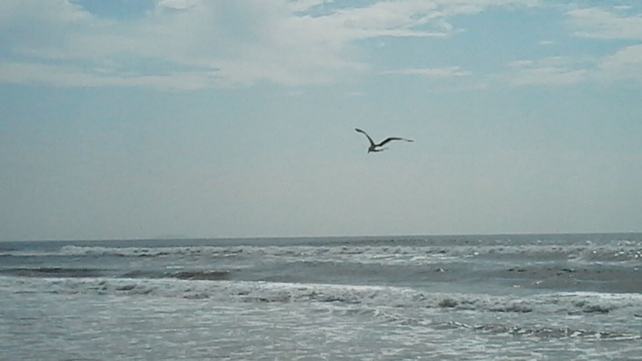 Photo of Others in Bluewater Bay