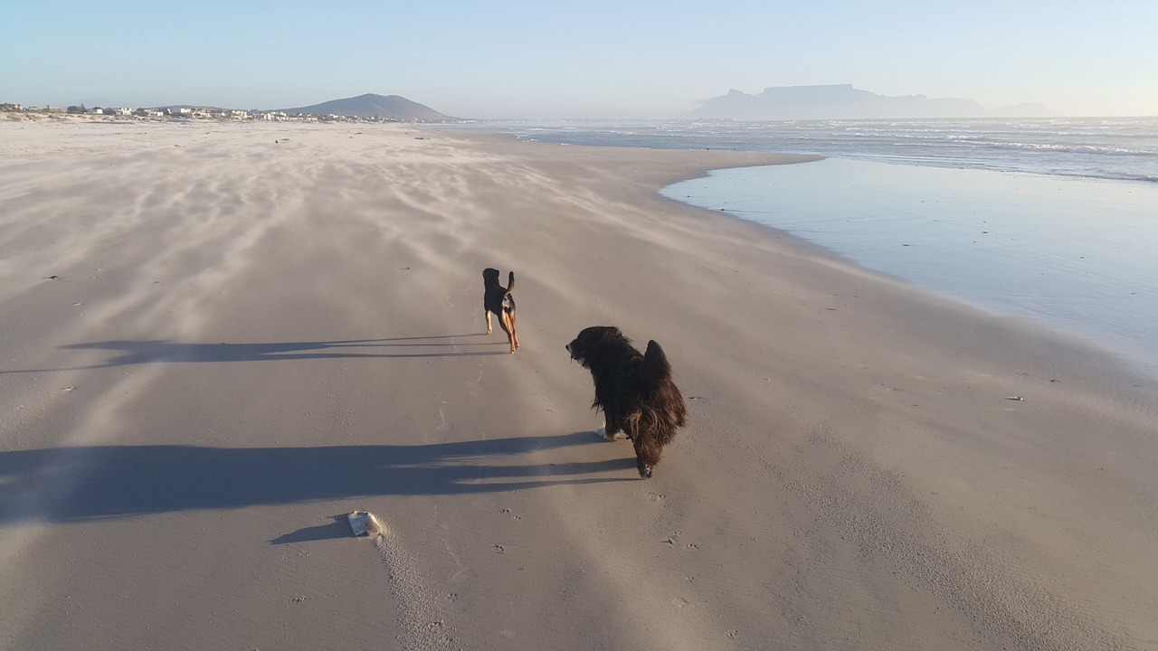 Photo of Others in Melkbosstrand