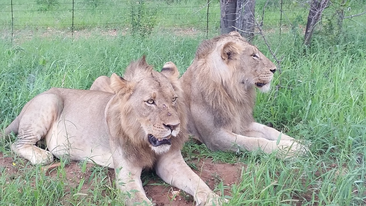 Photo of Others in Maruleng