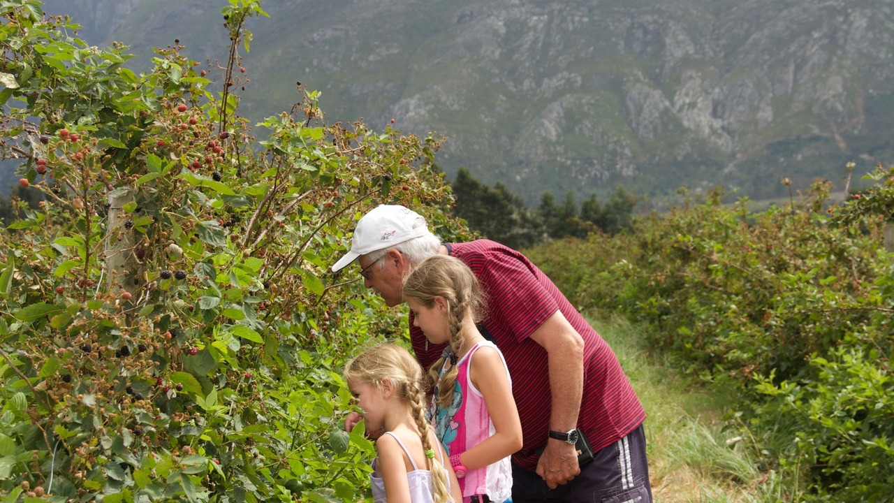 Photo of Others in Swellendam