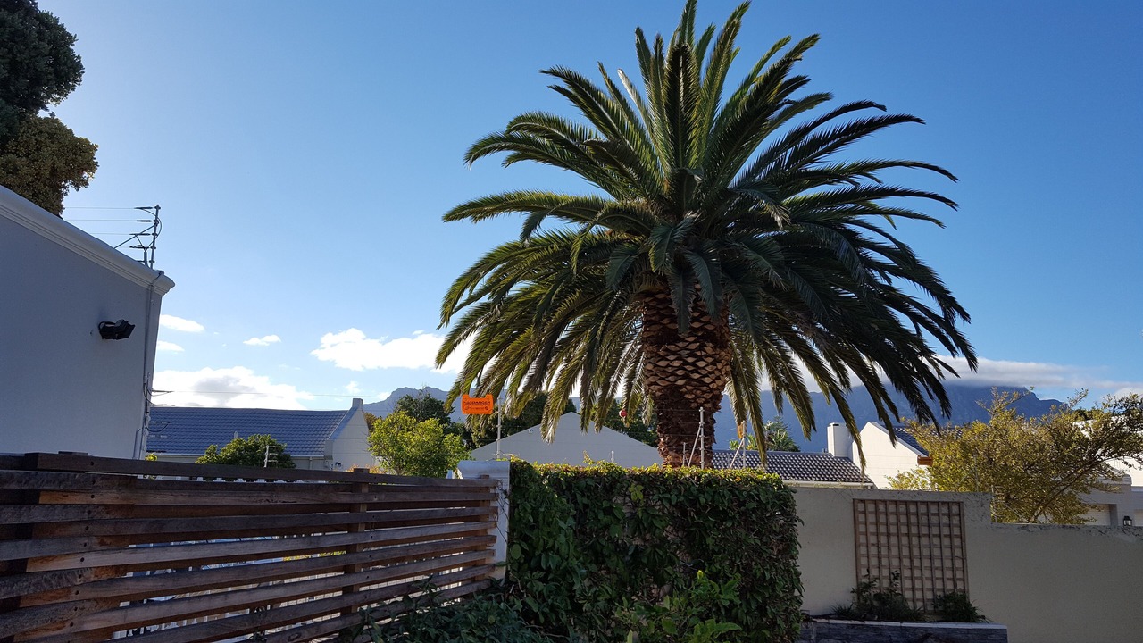 Photo of Outdoor in Plumstead