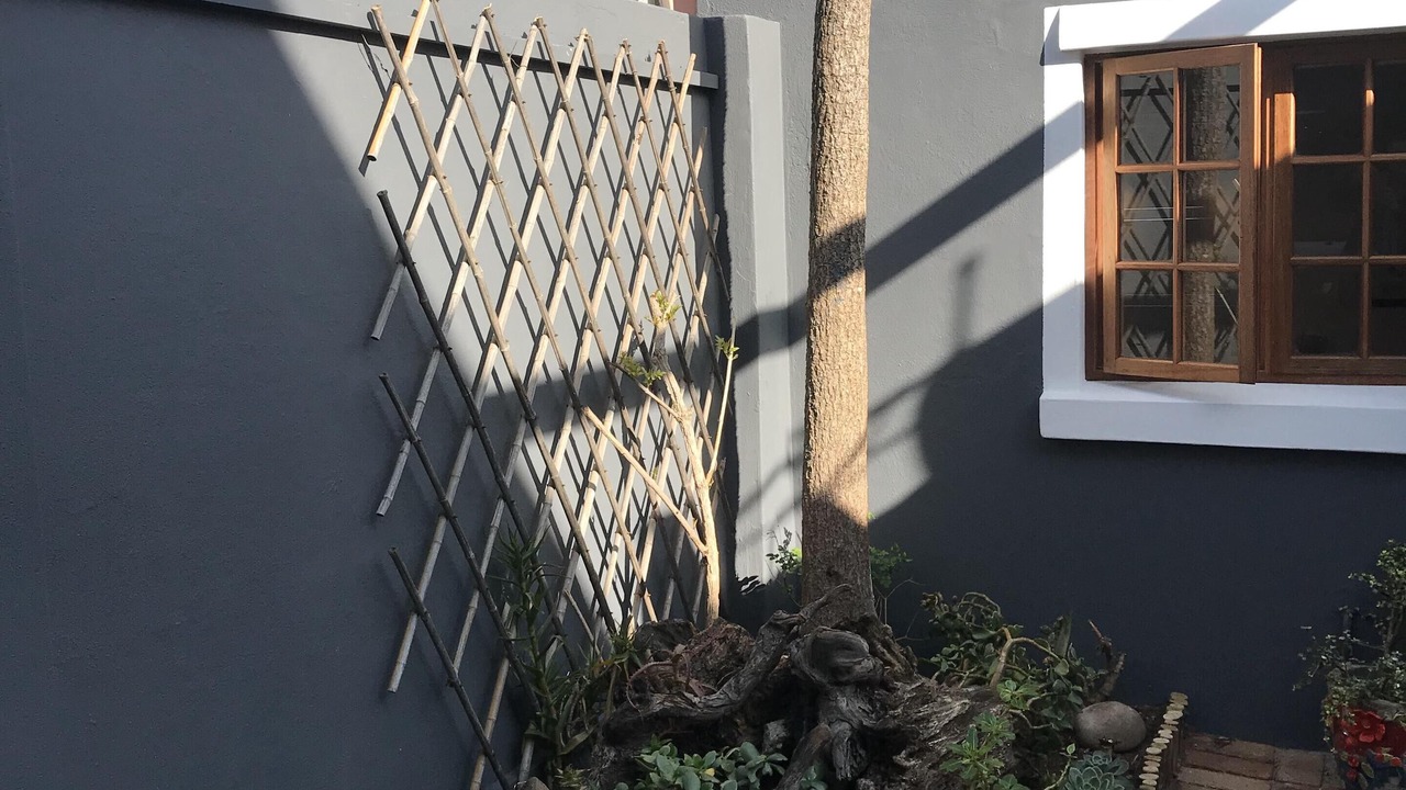 Photo of Outdoor in Muizenberg