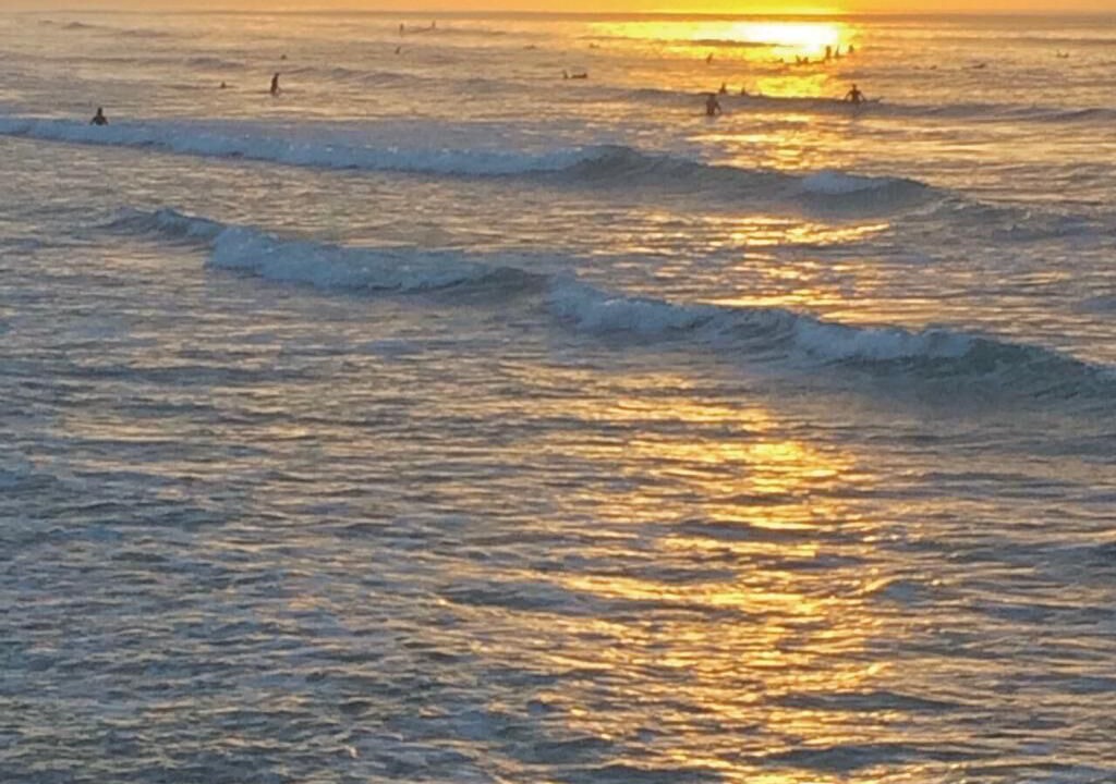 Photo of Others in Muizenberg