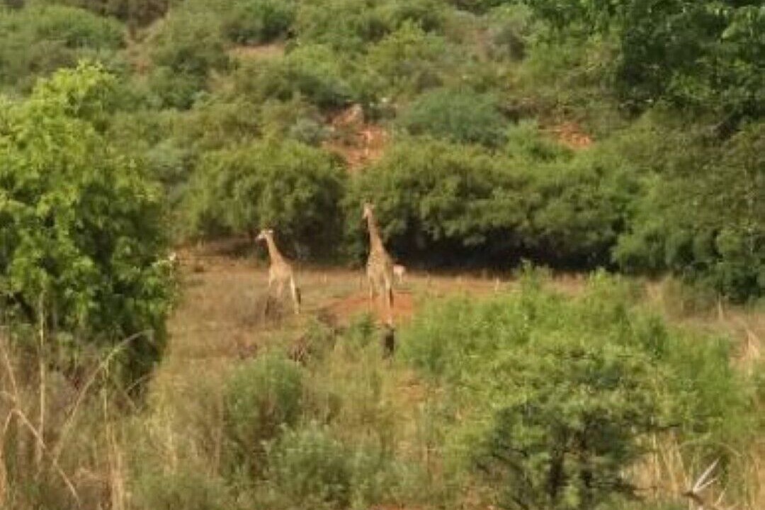 Photo of Outdoor in Centurion
