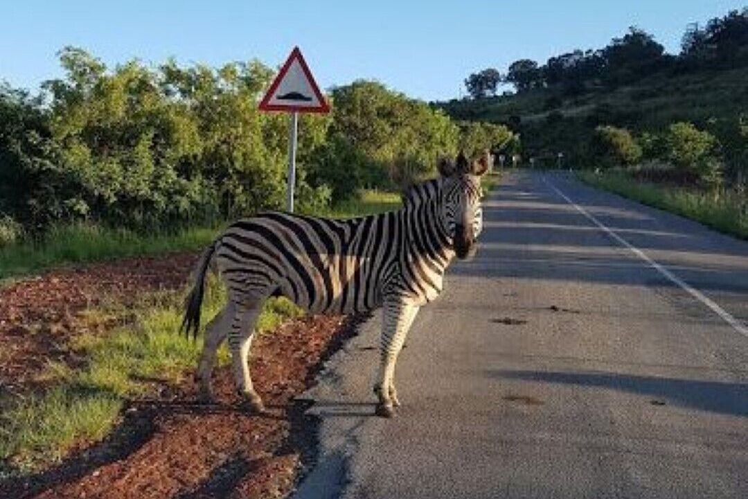 Photo of Outdoor in Centurion