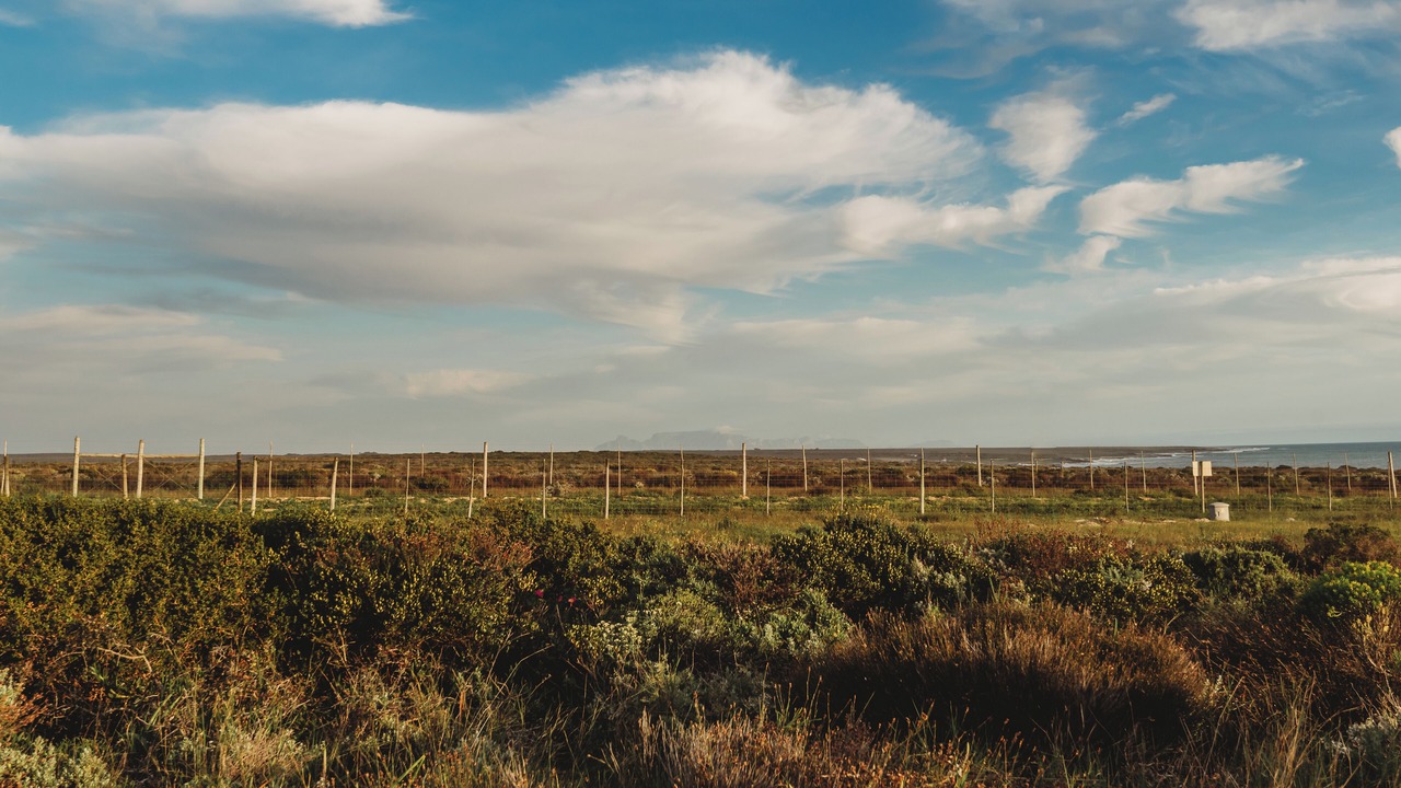 Photo of Others in Swartland