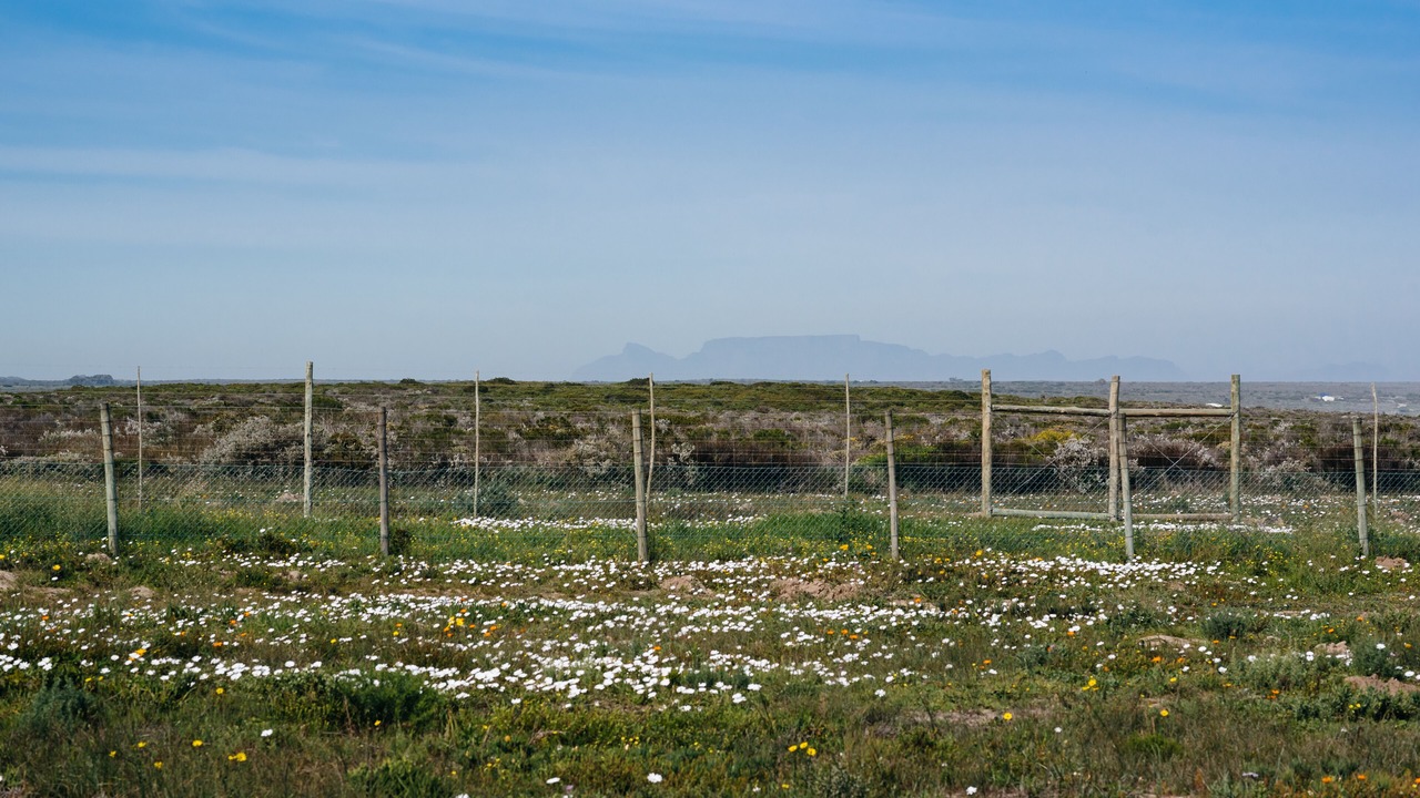 Photo of Others in Swartland