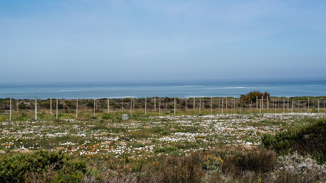 Photo of Others in Swartland