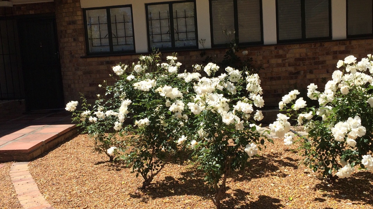 Photo of Others in Stellenbosch