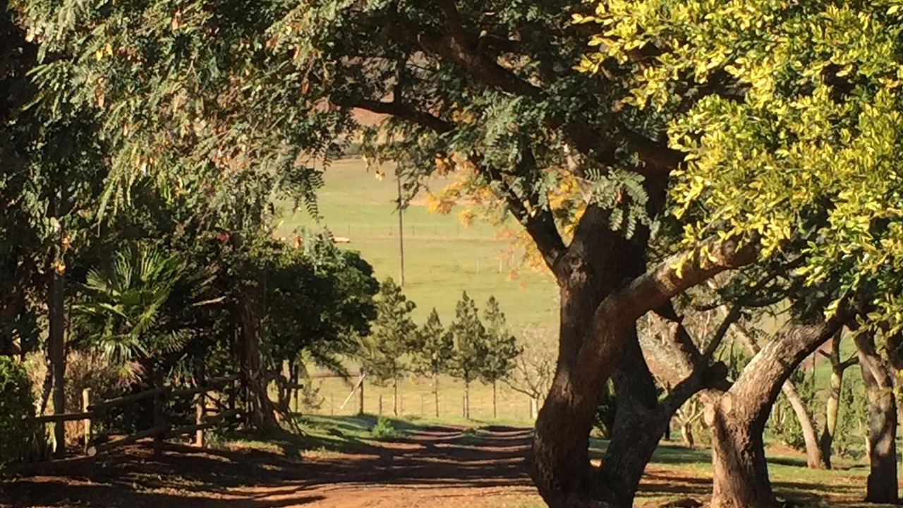 Photo of Outdoor in Colchester