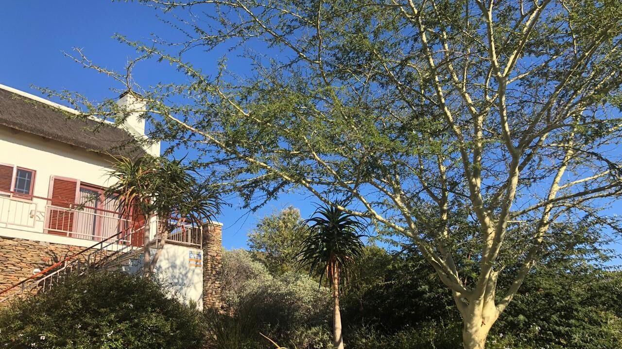 Photo of Outdoor in Montagu