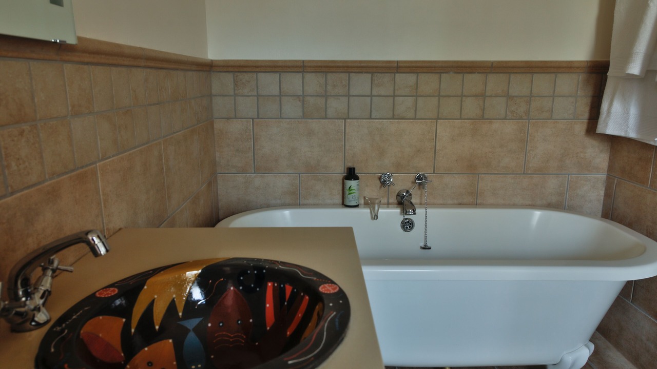 Photo of Bathroom in Montagu