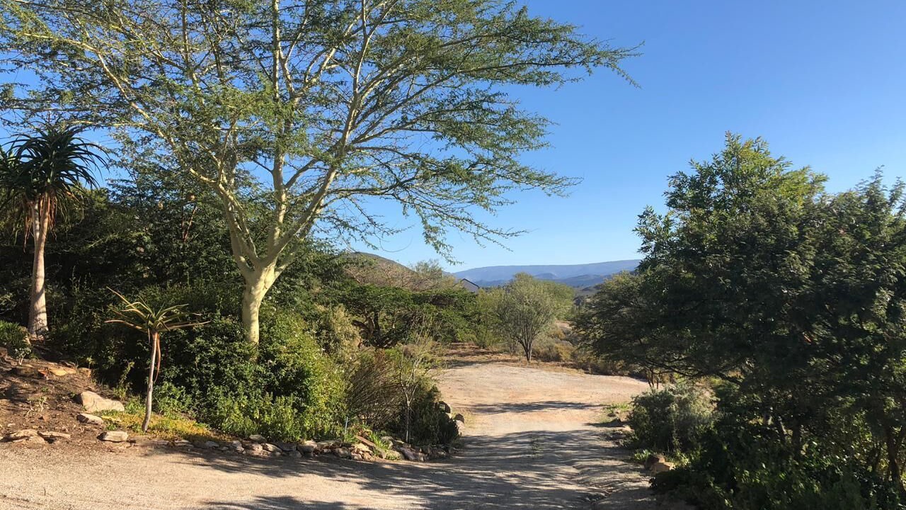 Photo of Outdoor in Montagu