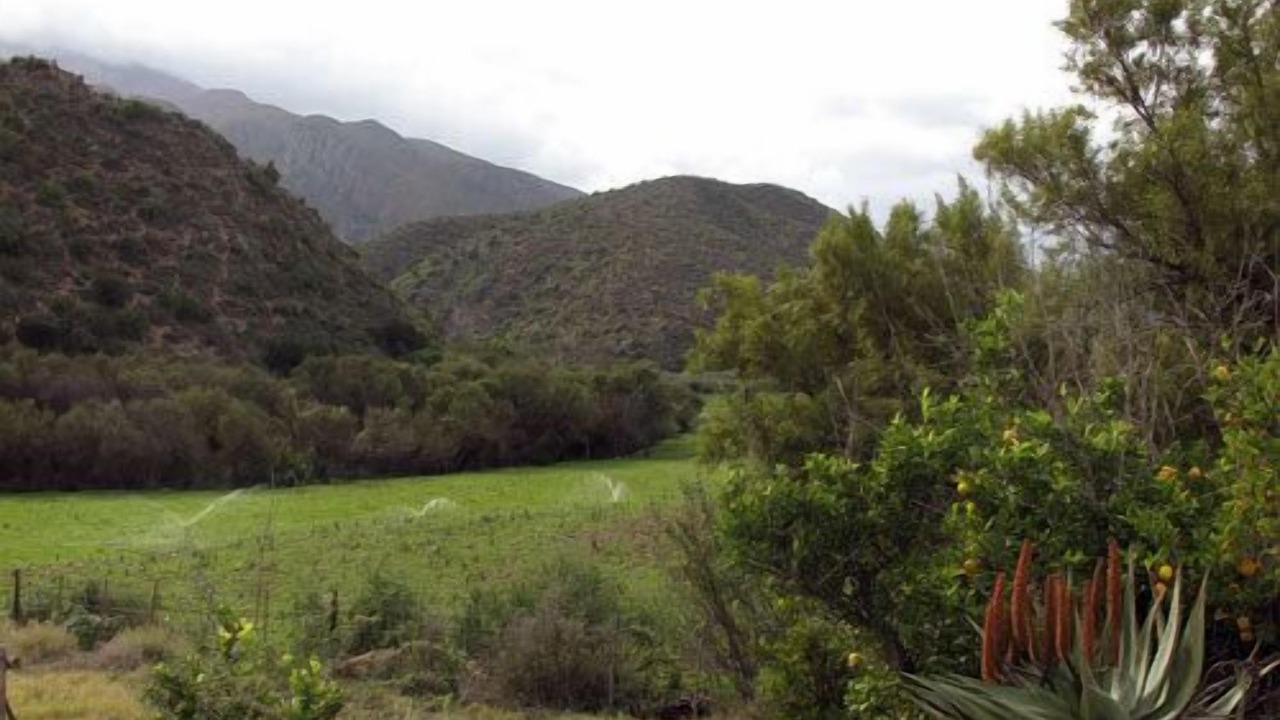 Photo of Outdoor in Calitzdorp
