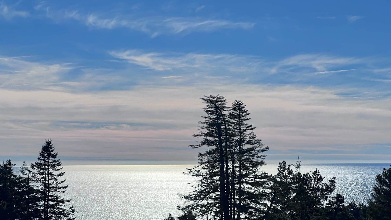 Photo of Others in Sea Ranch