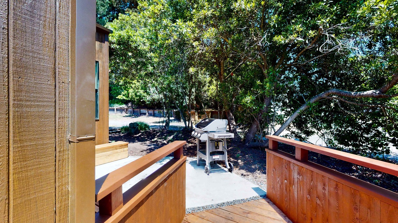 Photo of Outdoor in Sea Ranch