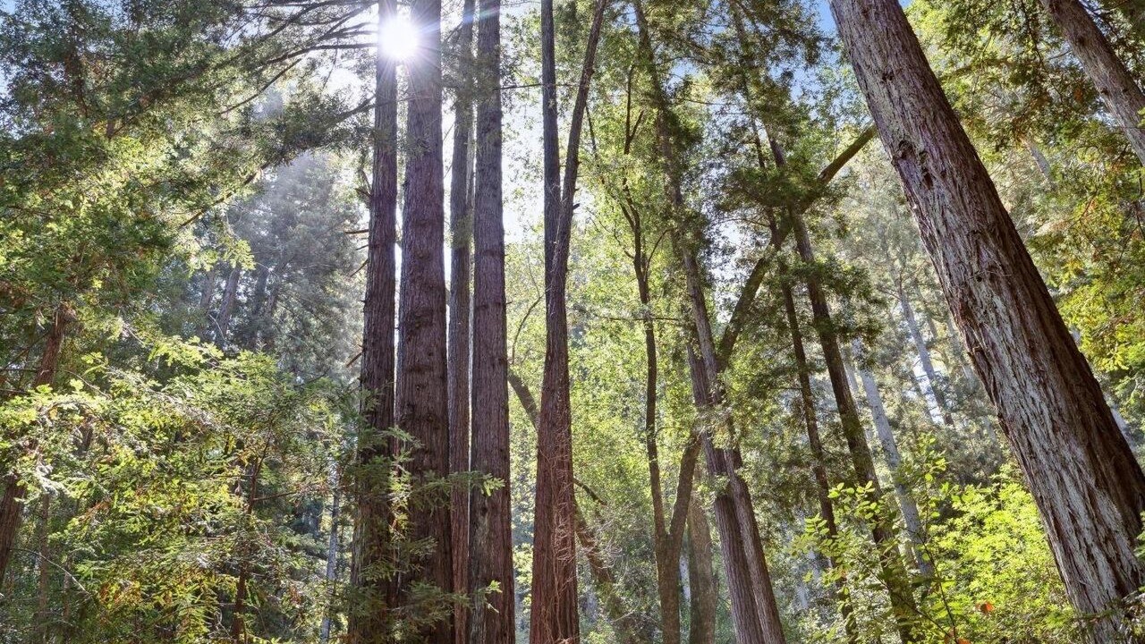 Photo of Others in San Geronimo