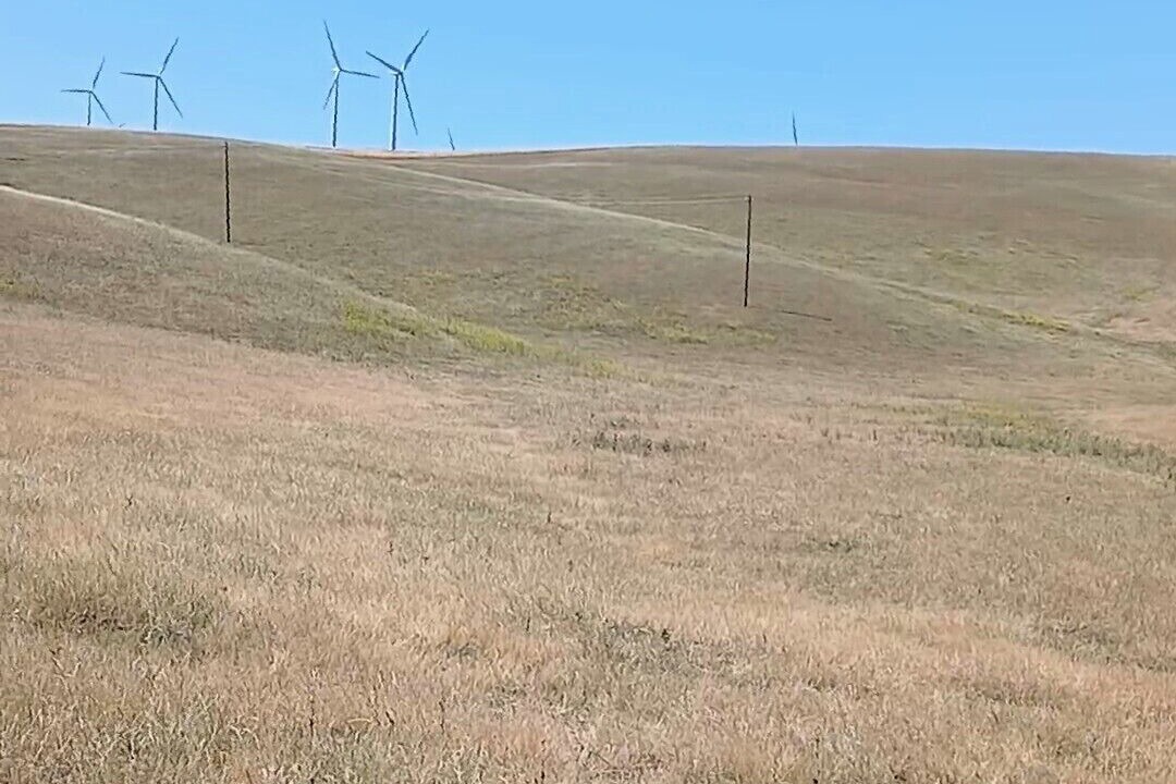 Photo of Others in Livermore