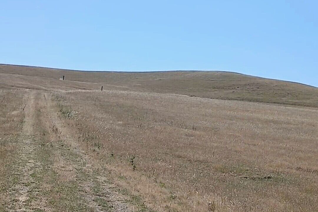Photo of Others in Livermore