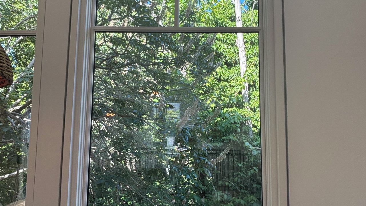 Photo of Others in San Anselmo