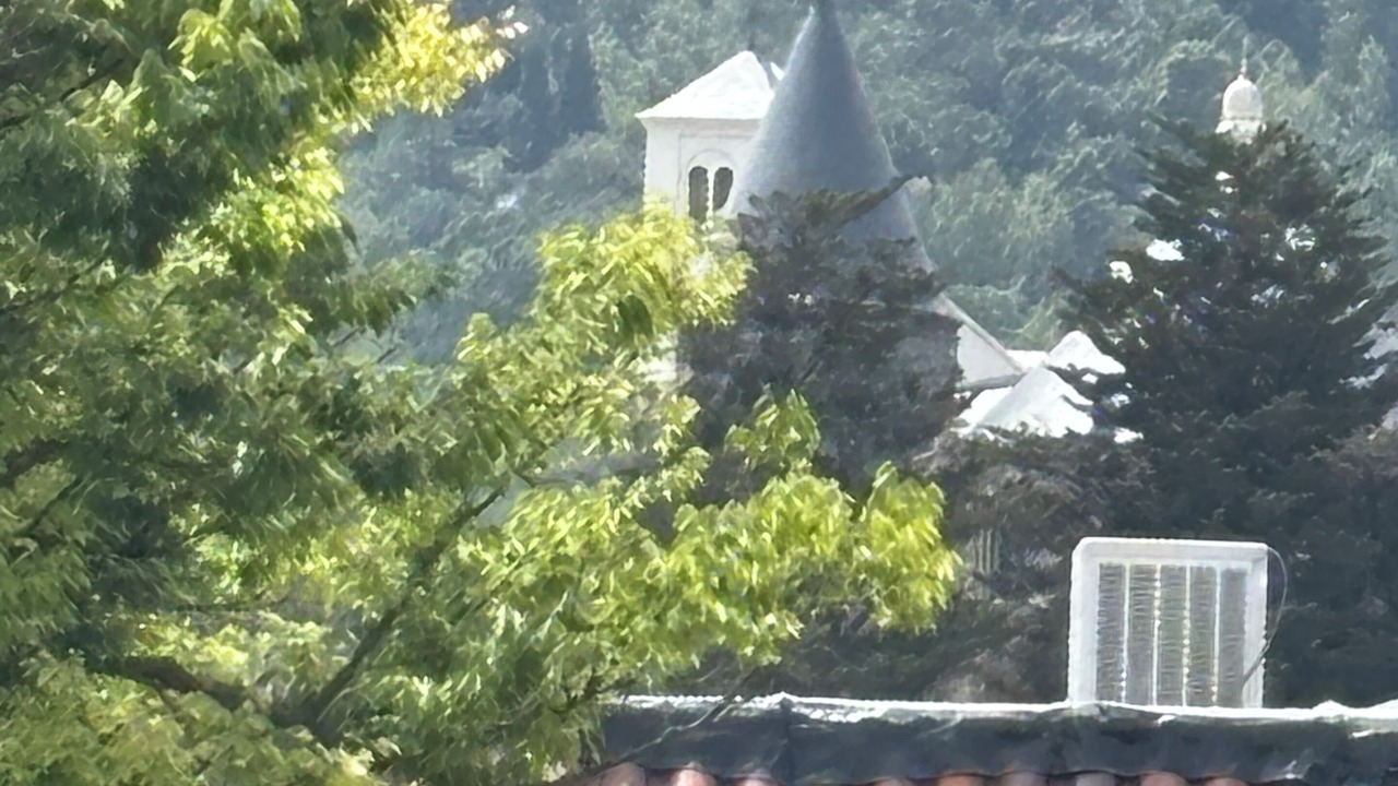 Photo of Others in San Anselmo
