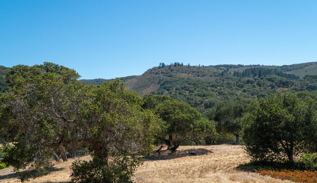 Photo of Others in Del Rey Oaks