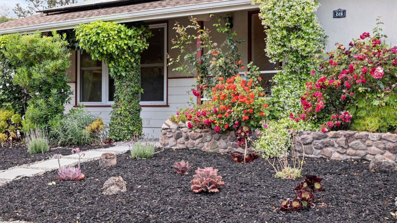 Photo of Outdoor in San Rafael
