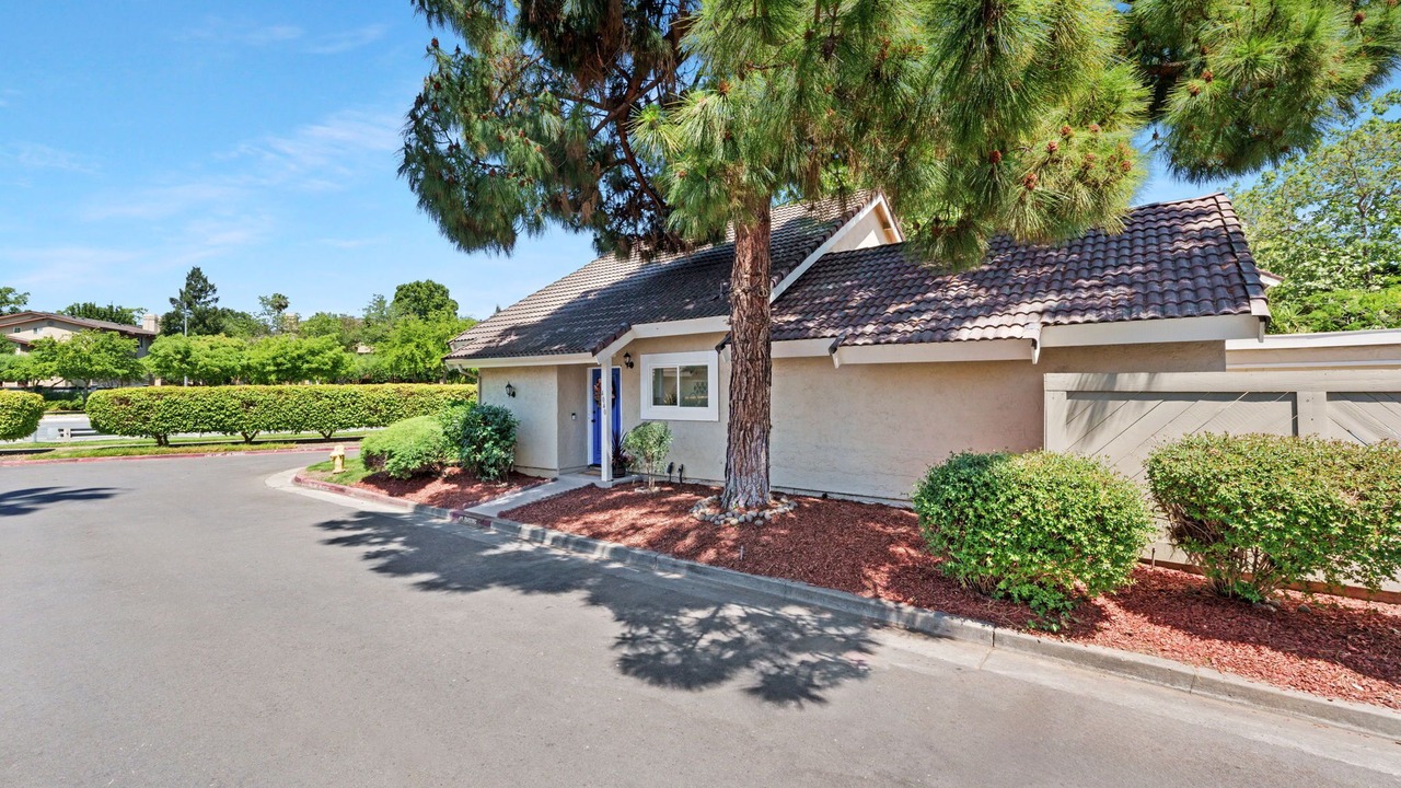 Photo of Outdoor in South San Jose