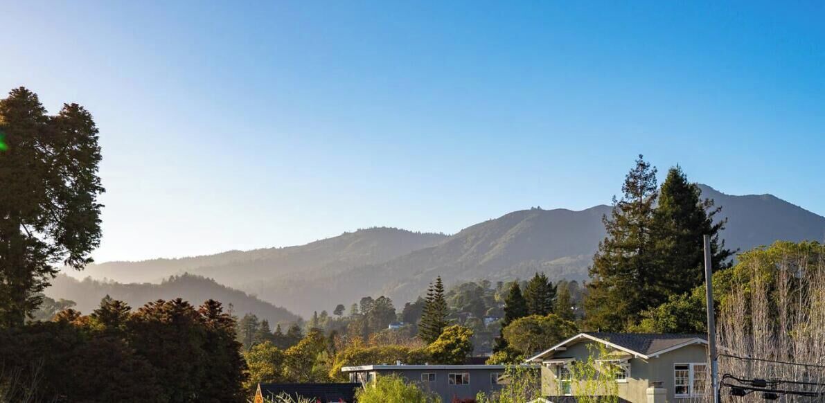 Photo of Others in Mill Valley