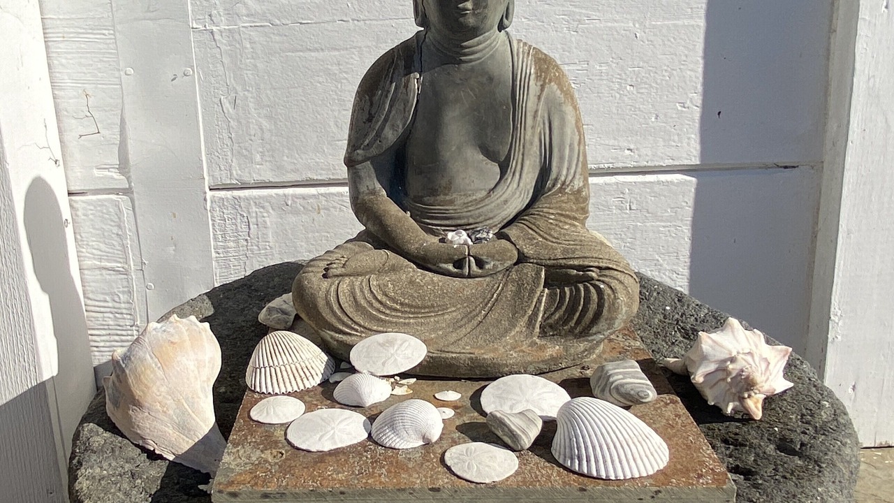 Photo of Outdoor in Stinson Beach