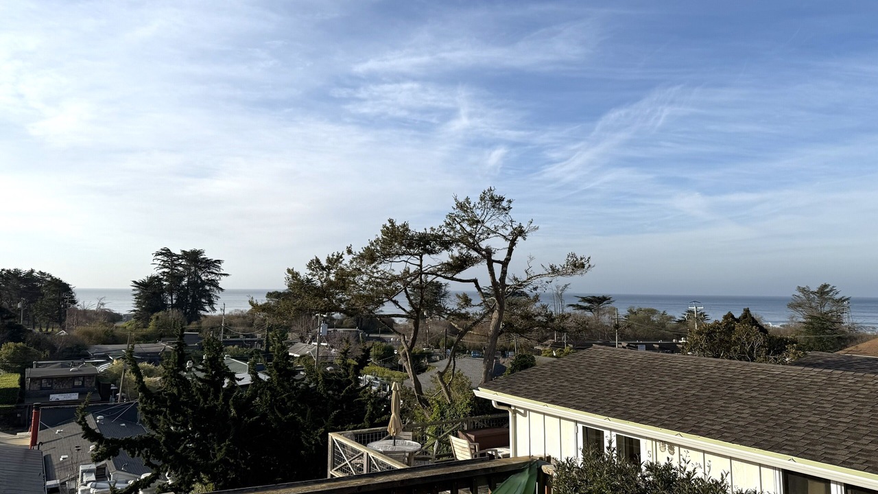 Photo of Others in Stinson Beach
