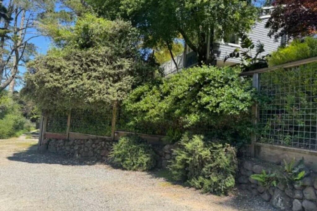 Photo of Outdoor in Tamalpais-Homestead Valley