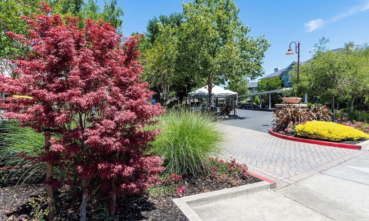 Photo of Outdoor in Windsor