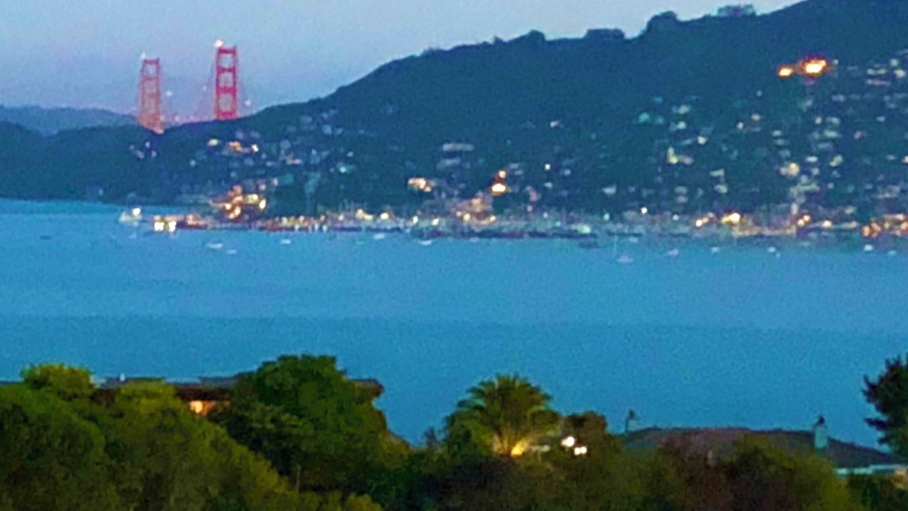 Photo of Others in Tiburon