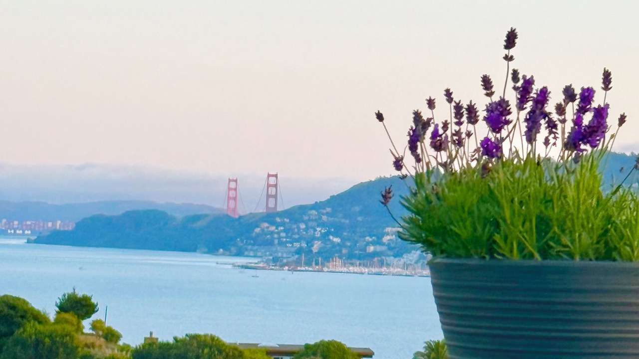Photo of Outdoor in Tiburon