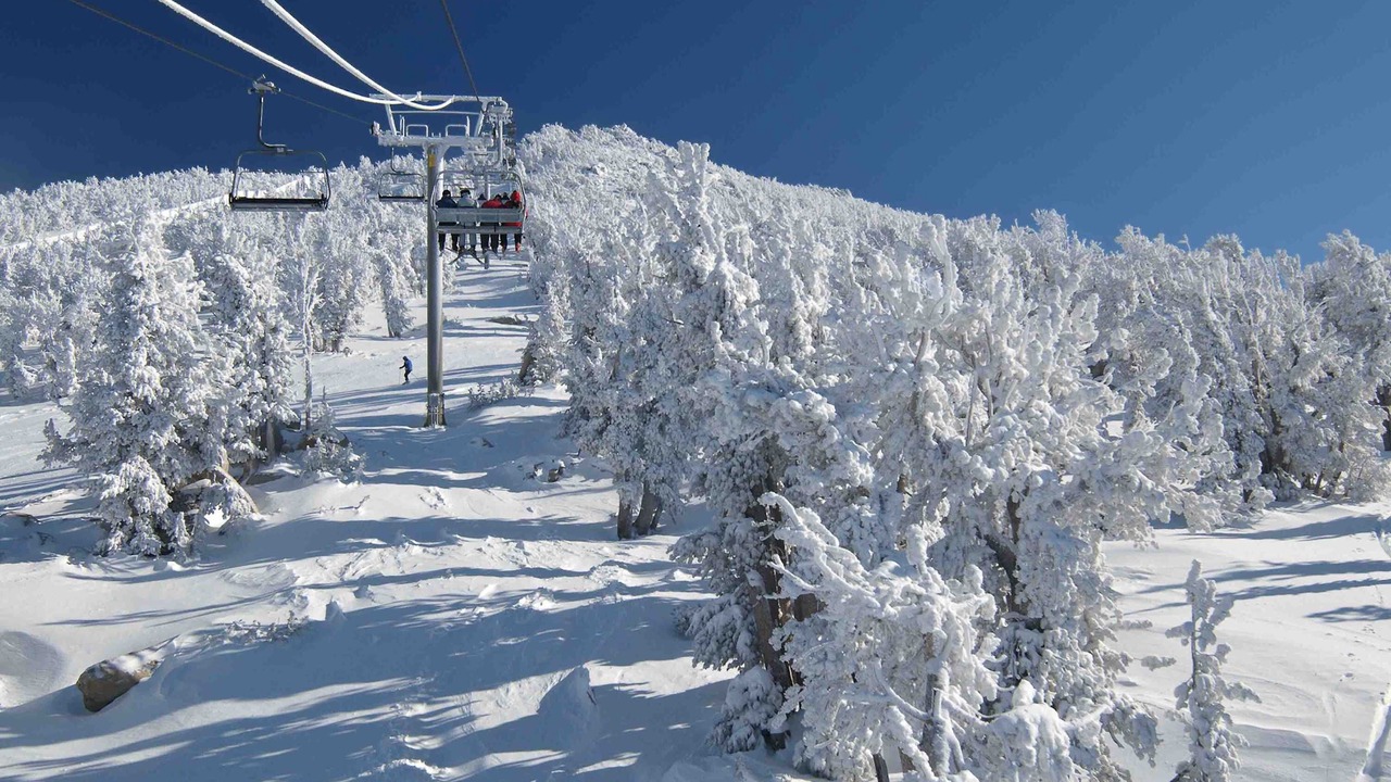 Photo of Others in Truckee